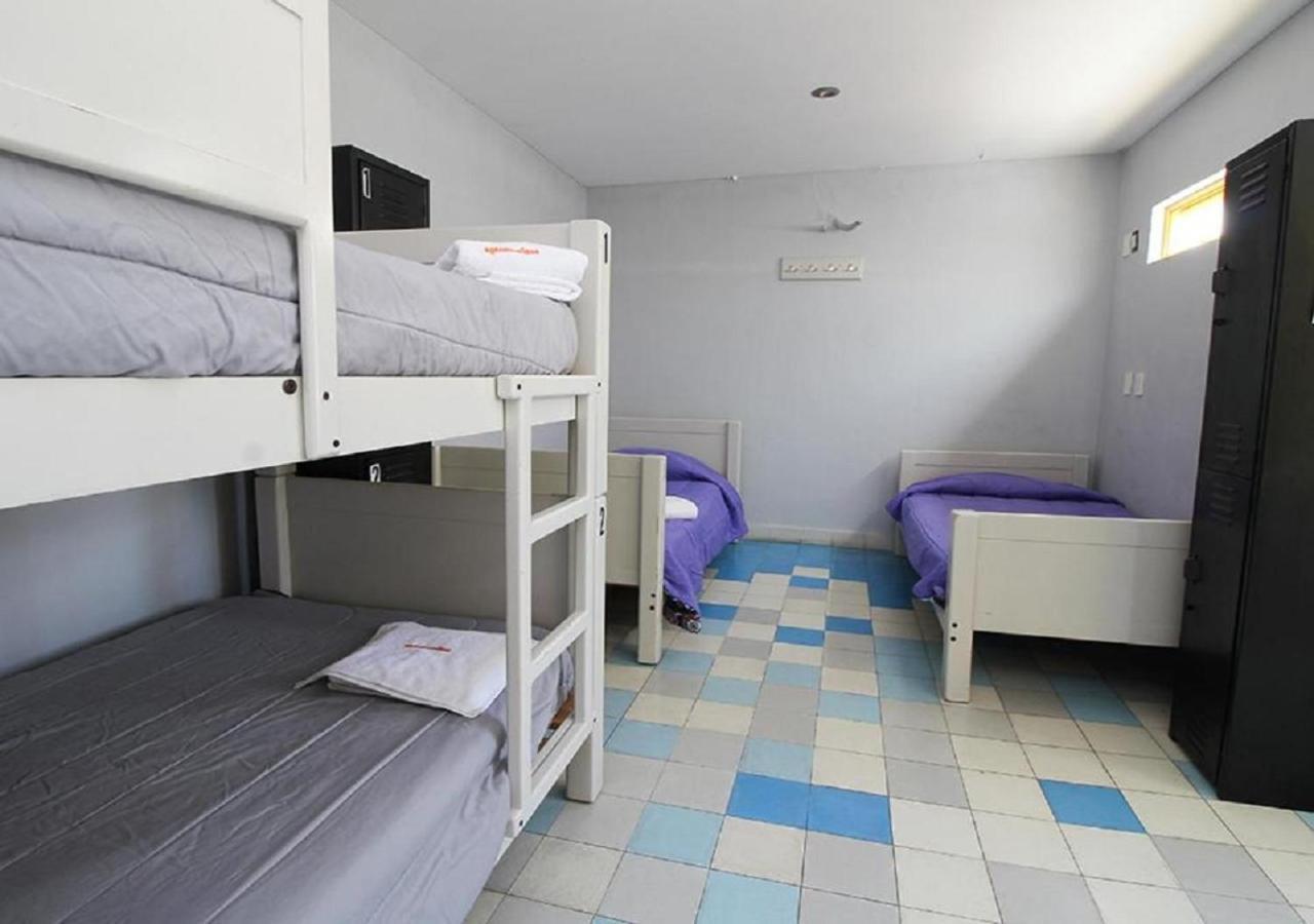 Bunk Bed 10-Bed Mixed Dormitory Room